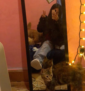 Meet your Posher, Lytzy